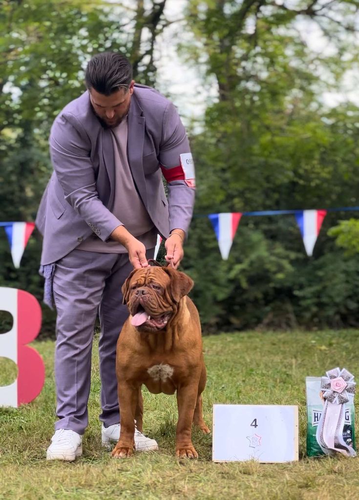 Legendarivs Canis Talion law - Sélectionné au ring d'honneur 4éme ouverte femelle