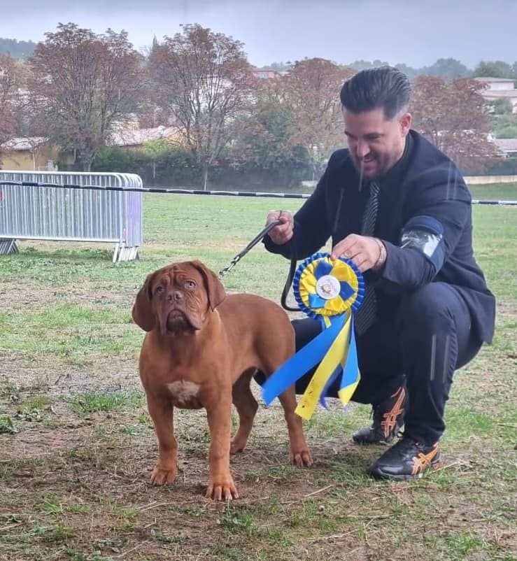 Legendarivs Canis Talion law - 1ère Baby femelle + Meilleur Baby de l'exposition