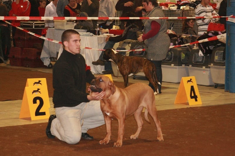 Technical knock out z'orisku - 2éme Très prometteur