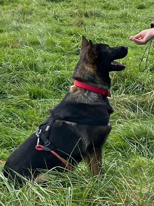 Véline du Domaine d'Hilara