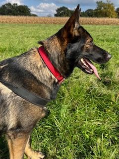 Véline du Domaine d'Hilara