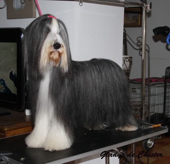 Publication : du val de l'auguis