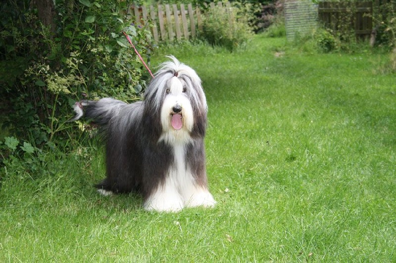 Publication : du val de l'auguis