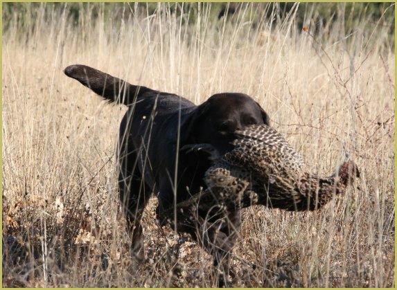Broadway Des terres sacrees