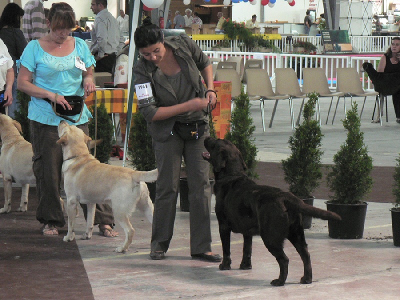Broadway Des terres sacrees