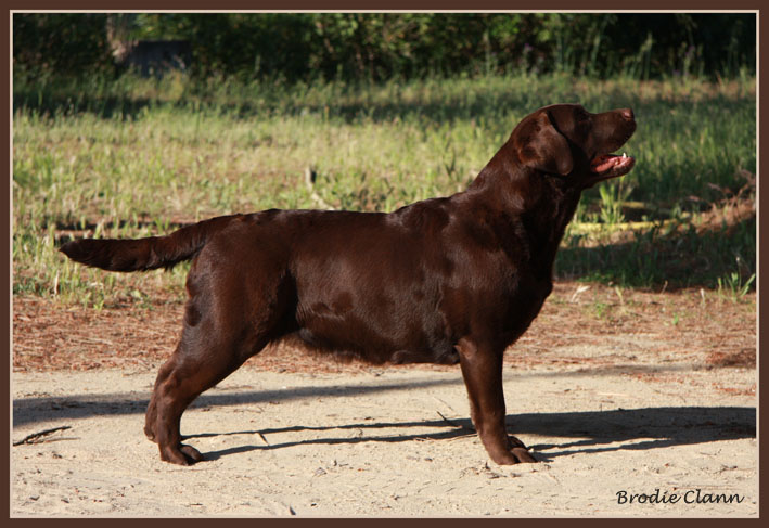 Broadway Des terres sacrees