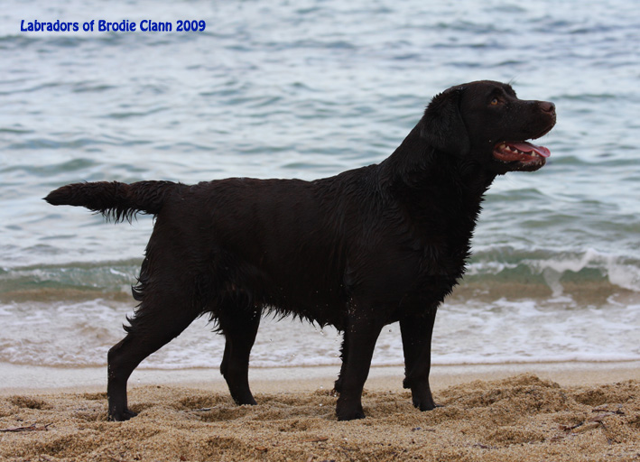 Broadway Des terres sacrees