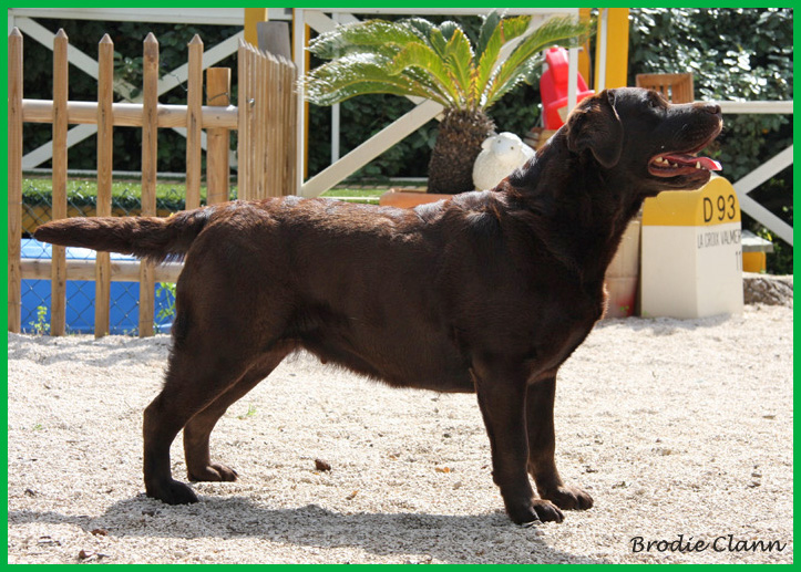 Broadway Des terres sacrees