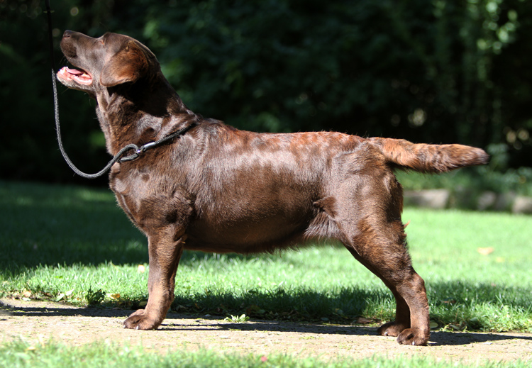 Broadway Des terres sacrees