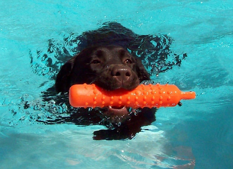 Broadway Des terres sacrees