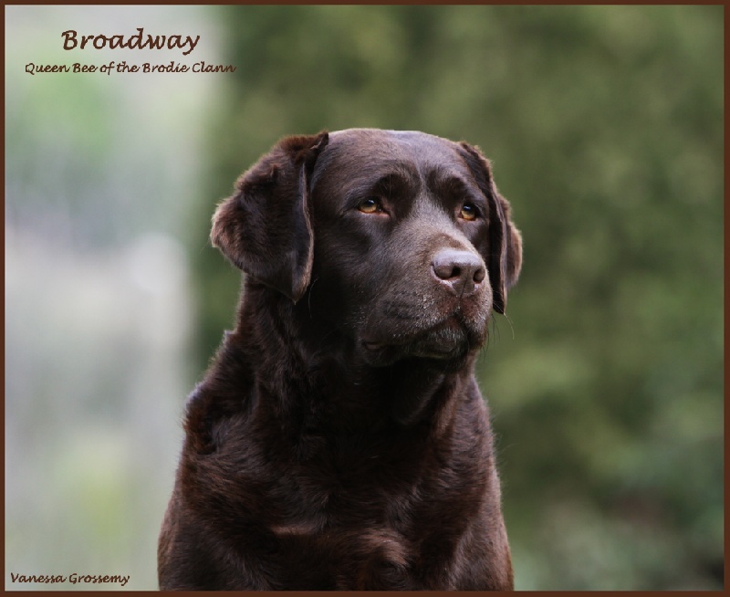 Broadway Des terres sacrees