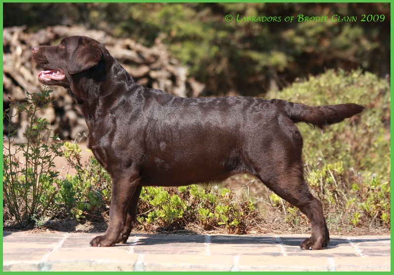 Broadway Des terres sacrees