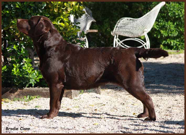 Broadway Des terres sacrees