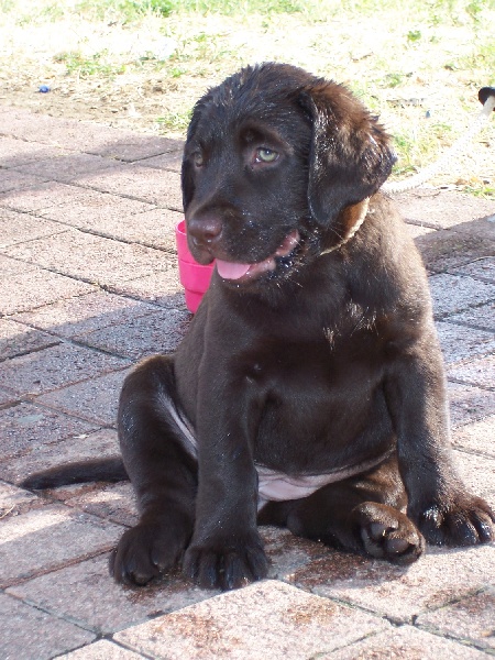 Broadway Des terres sacrees