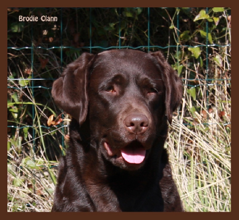 Broadway Des terres sacrees