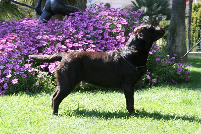 Broadway Des terres sacrees