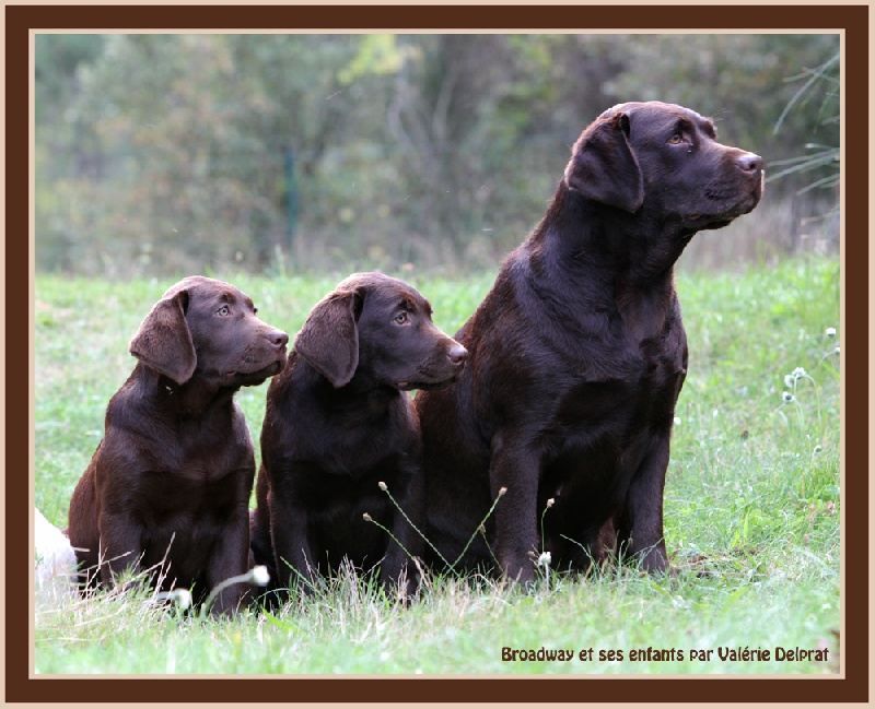 Broadway Des terres sacrees