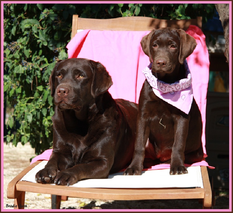 Broadway Des terres sacrees