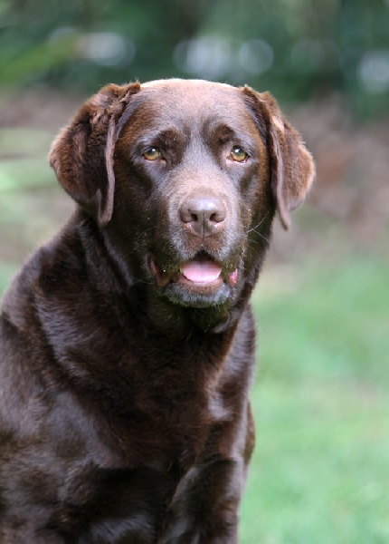 Broadway Des terres sacrees