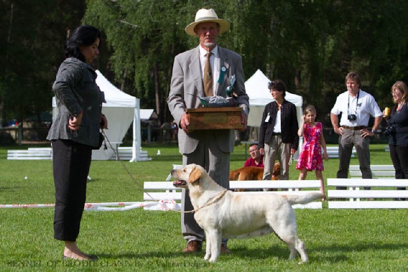 CH. Dt. jgd. undercover secret lady van de weeward - CAC, BOB