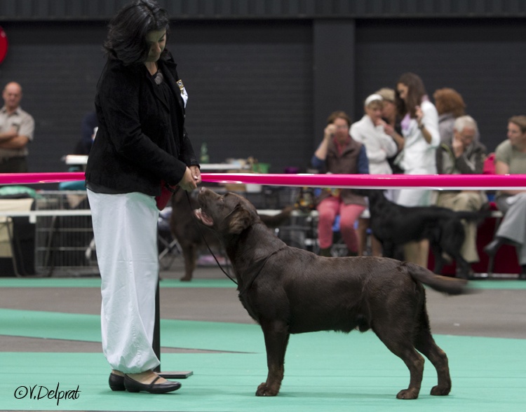 Fort knox Of Brodie Clann - 3ème excellent classe jeune