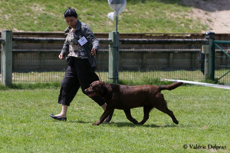 Fort knox Of Brodie Clann - 4ème excellent