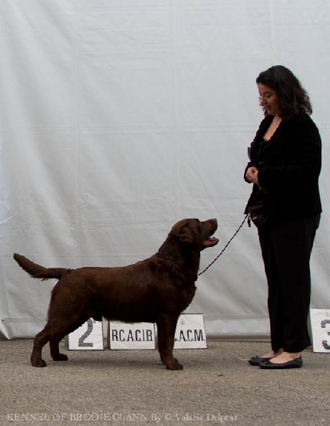 Fort knox Of Brodie Clann - RCACM et RCACIB