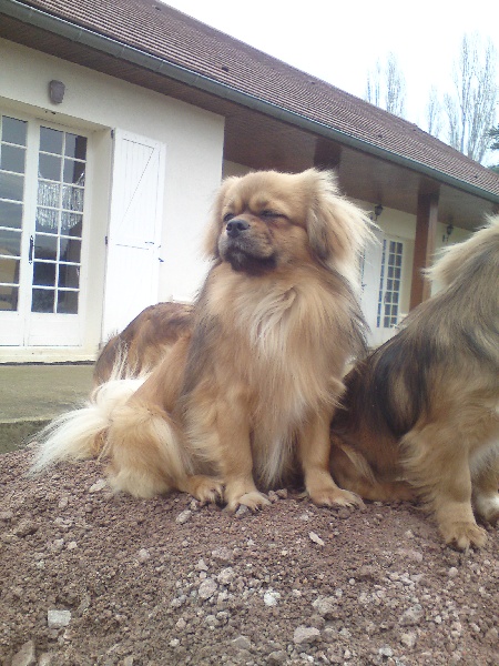 Dalaï lama de la goutte de bord