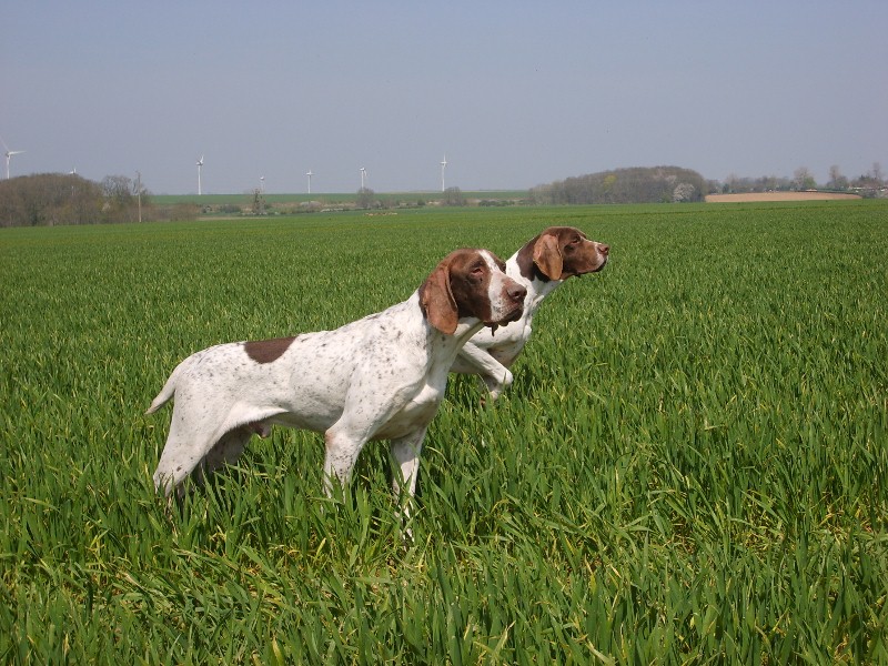 Publication : Du Val Des Roches Du Vexin Auteur : Colette Garay