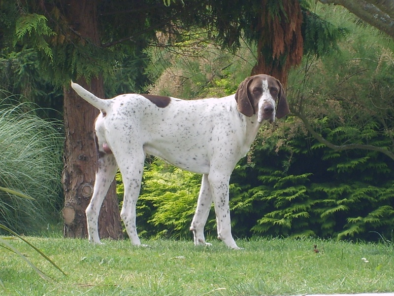 Publication : Du Val Des Roches Du Vexin Auteur : Colette Garay