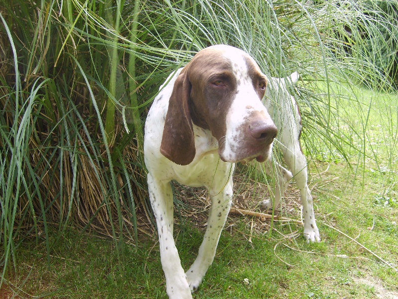 Publication : Du Val Des Roches Du Vexin Auteur : Colette Garay