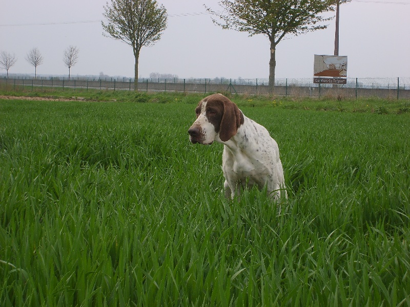 Publication : Du Val Des Roches Du Vexin Auteur : Colette Garay