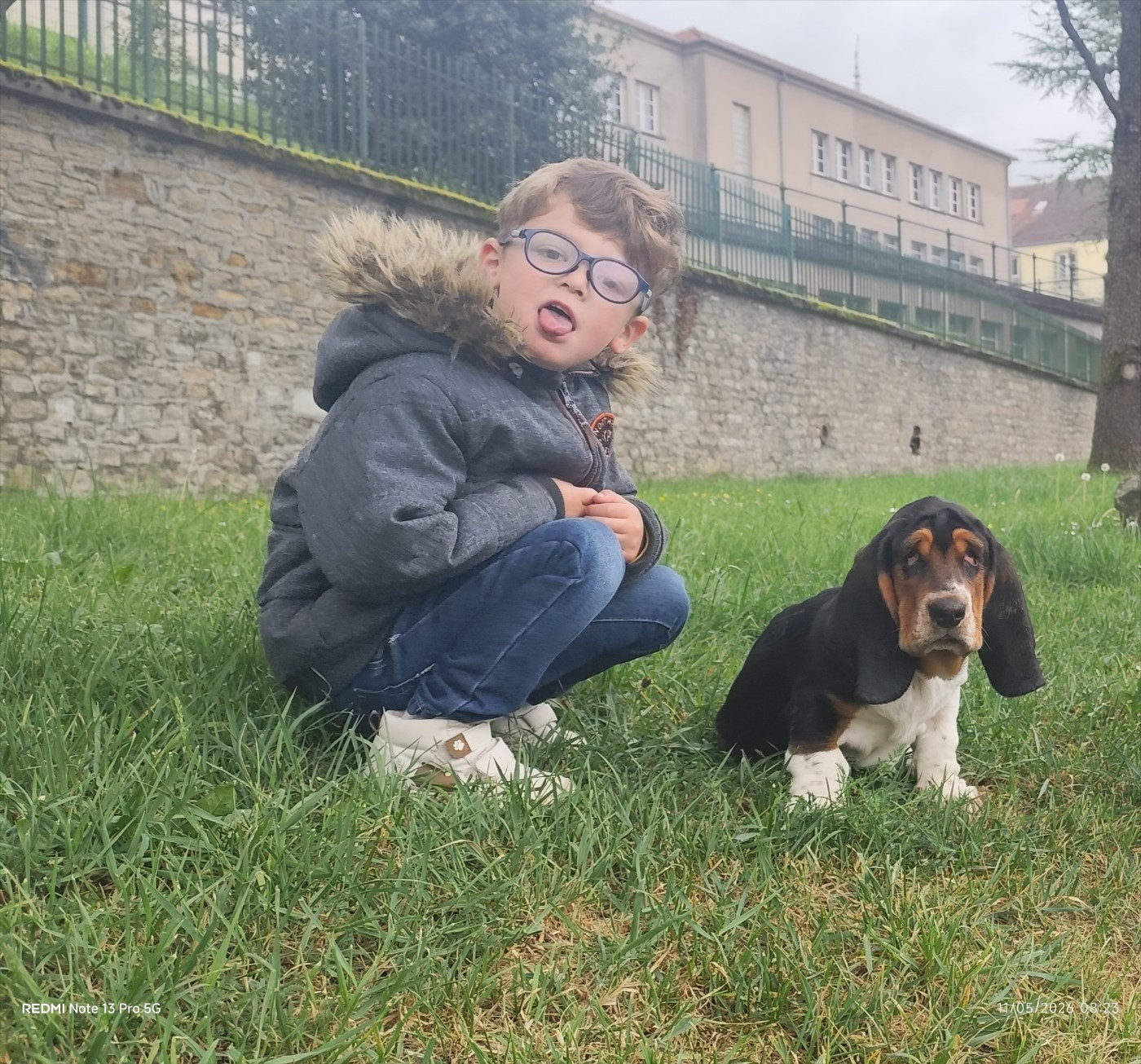 Bambino dit Razmo Des Terres Fleuries