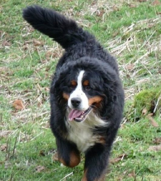 Publication : Du Royaume Des Orchidees