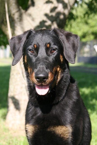 Publication : blackgorge Auteur : Lidka Kazdova