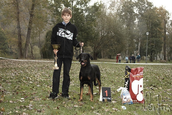 CH. Bar Rafaelli des onze hermines - Excellent,CAC,Vinner of speciale exposition,BOS