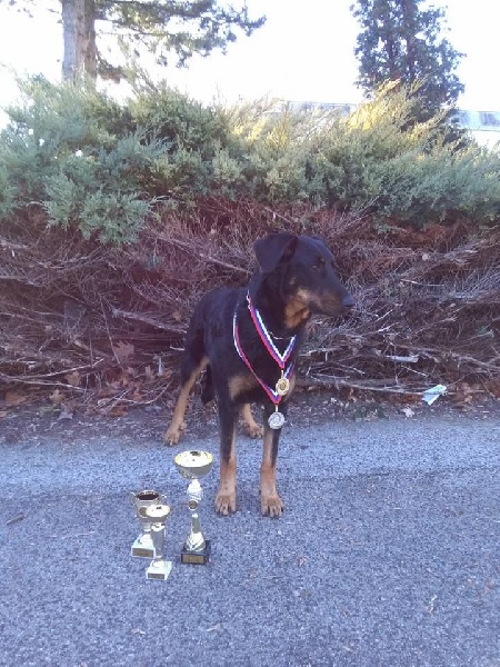 CH. Juicy de la noé d´orient - Excellent 1, CAC, CACIB, Meilleur de race