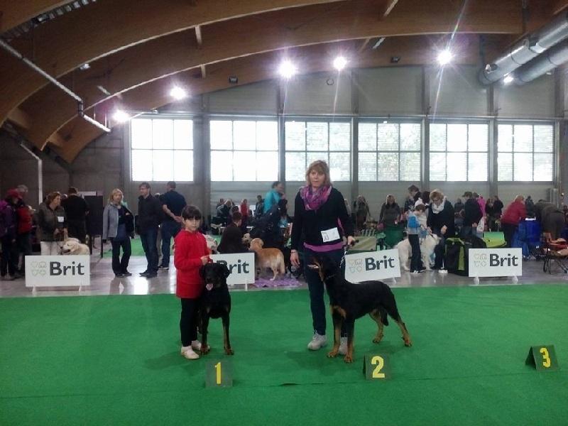 CH. Juicy de la noé d´orient - Excellent ,CAC,res.CACIB