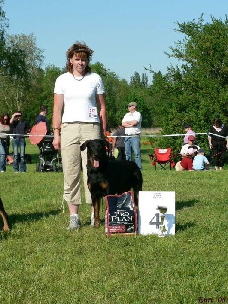 CH. Bar Rafaelli des onze hermines - CH.Bar Rafaelli des onze hermines