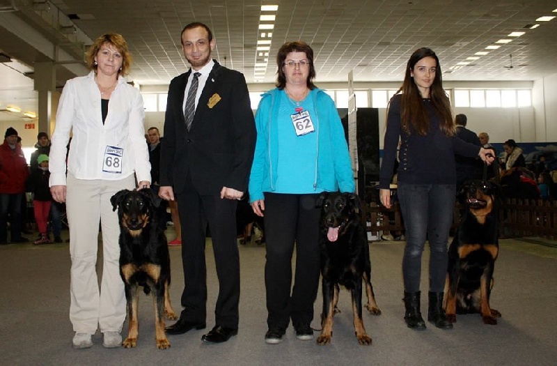 CH. Juicy de la noé d´orient - Excellent ,CAC,CACIB, Meilleur de Race