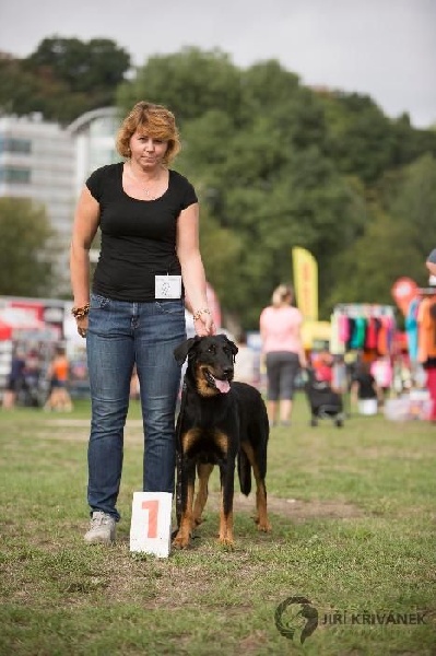 CH. Juicy de la noé d´orient - Excellent ,CAC,CACIB, Meilleur de Race