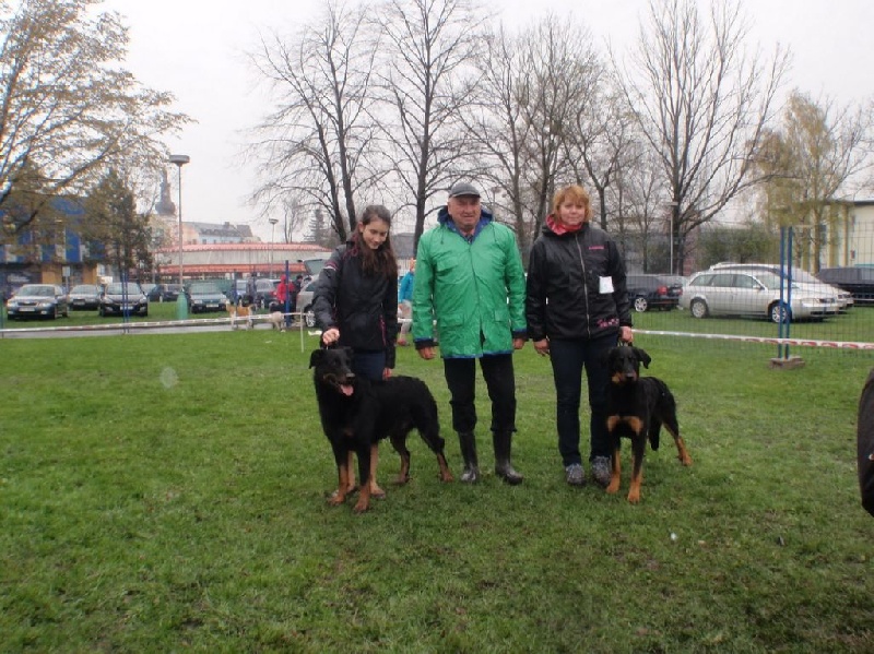 CH. Juicy de la noé d´orient - Excellent, CAC, National winner, BOS