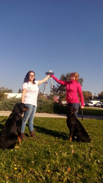 CH. Juicy de la noé d´orient - Excellent ,CAC,res.CACIB