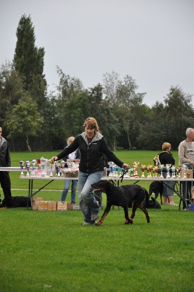 CH. Harwey duke blackgorge - TP 1