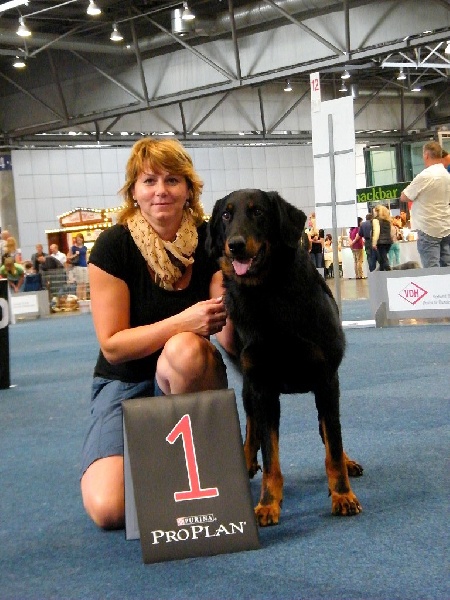 CH. Harwey duke blackgorge - Excellent ,CAC,CACIB, Vainqueur Leipzig