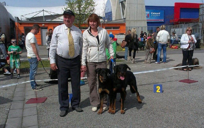 CH. Juicy de la noé d´orient - Excellent 2