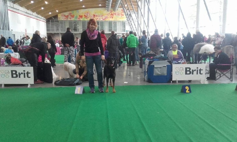 CH. Juicy de la noé d´orient - 1 ere EXCELLENT,CAC, CACIB, Meilleur de Race