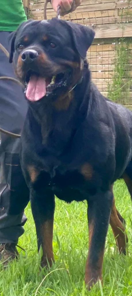 Trust Vom Hause Matterhorn