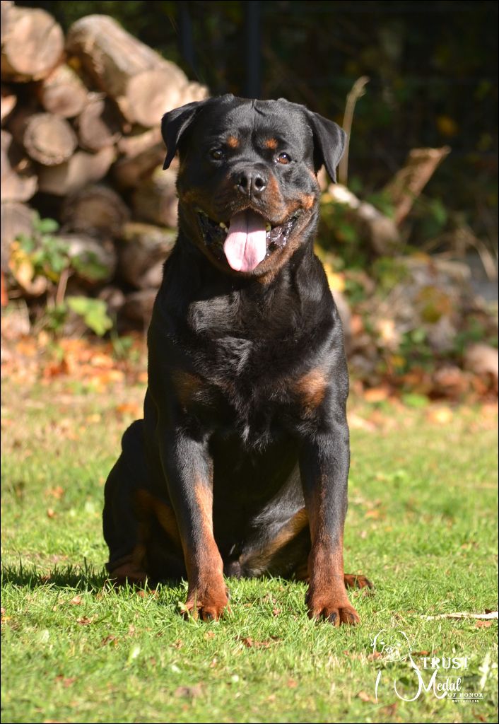 Trust Vom Hause Matterhorn