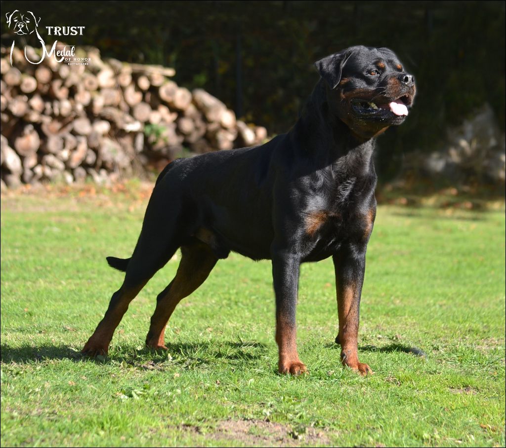 Trust Vom Hause Matterhorn